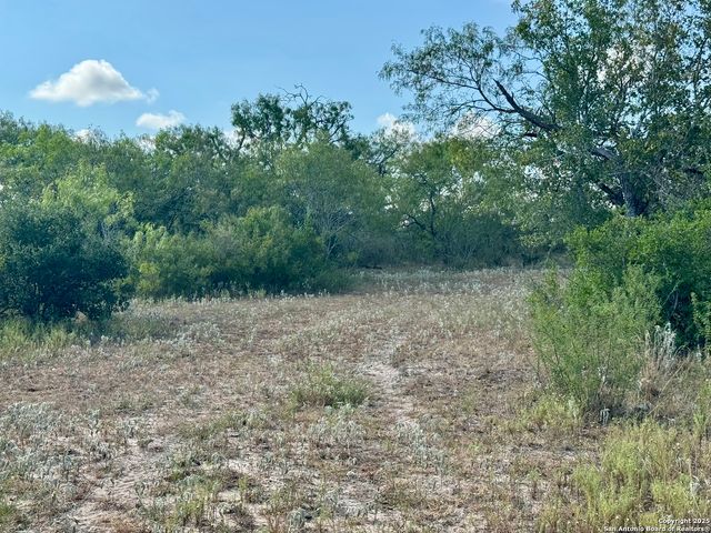 199 ACRES CR 252, Stockdale, TX 78160