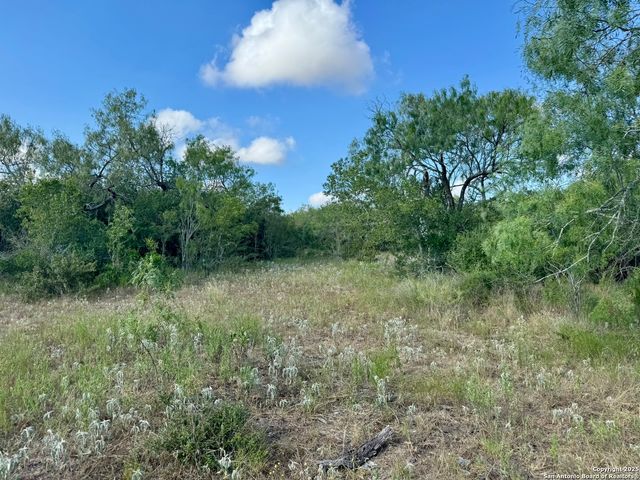 199 ACRES CR 252, Stockdale, TX 78160