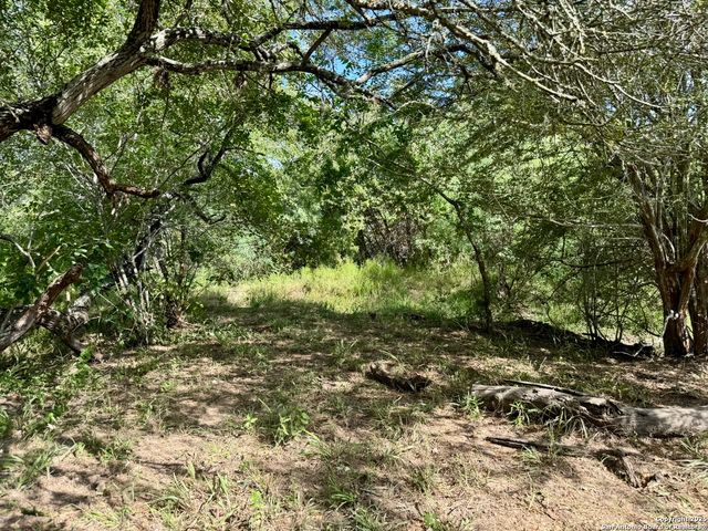 199 ACRES CR 252, Stockdale, TX 78160
