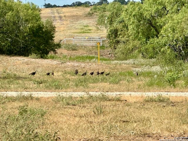 199 ACRES CR 252, Stockdale, TX 78160