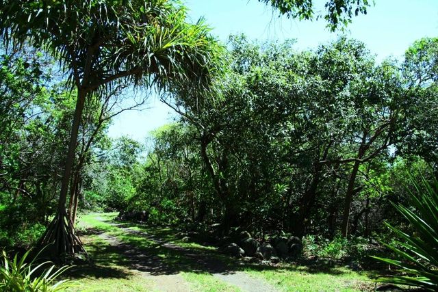 35006 Piilani Hwy, Hana, HI 96713