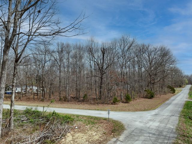 0 Lakewood Dr, Beechgrove, TN 37018
