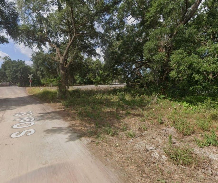 S OAK STREET, Seffner, FL 33584
