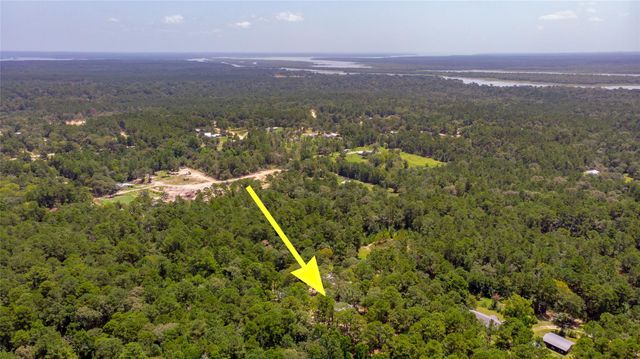 250 Red Bird Lane, Trinity, TX 75862