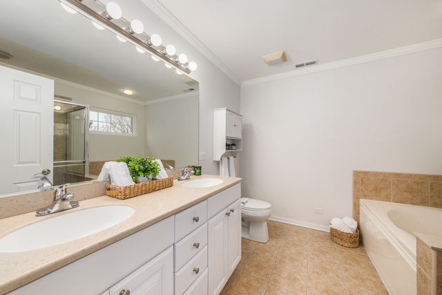 770 Lambert Lane 96-6, Bartlett, IL 60103