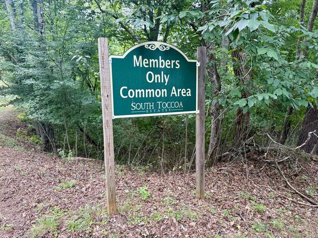 98 Shalom Lane, Blue Ridge, GA 30513