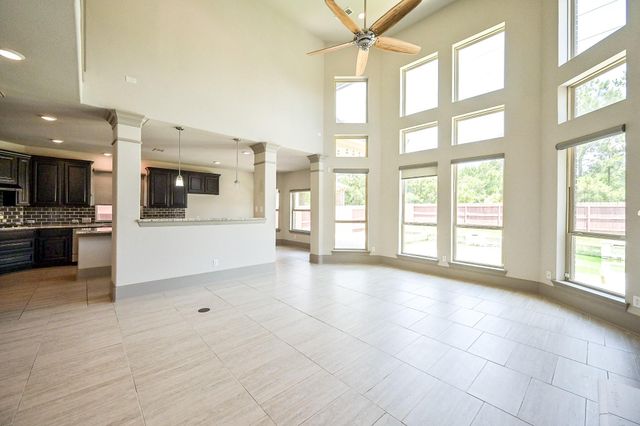 25235 Birchwood Springs Avenue, Porter, TX 77365