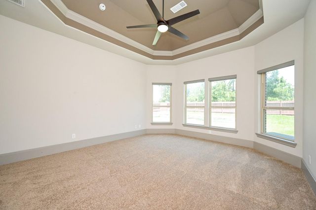 25235 Birchwood Springs Avenue, Porter, TX 77365