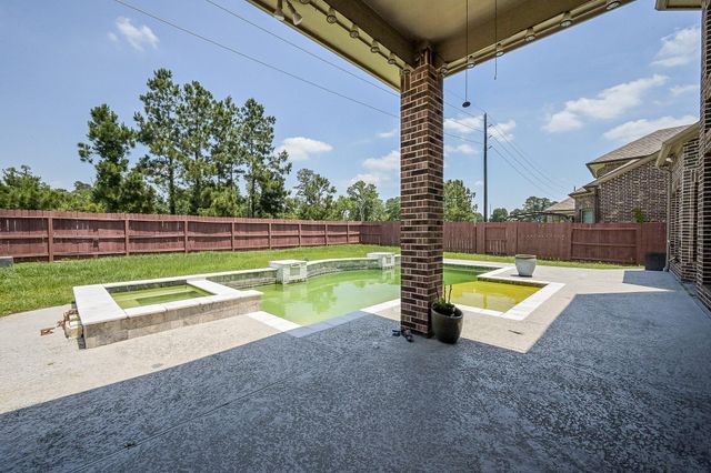 25235 Birchwood Springs Avenue, Porter, TX 77365