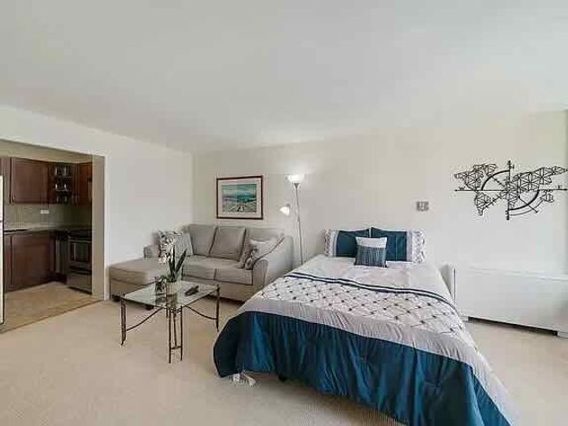 21 W Goethe Street 15E, Chicago, IL 60610