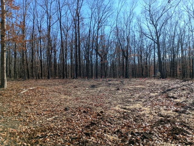 0 Laurel Lake Dr, Monteagle, TN 37356