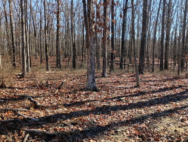 0 Laurel Lake Dr, Monteagle, TN 37356