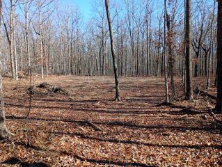 0 Laurel Lake Dr, Monteagle, TN 37356