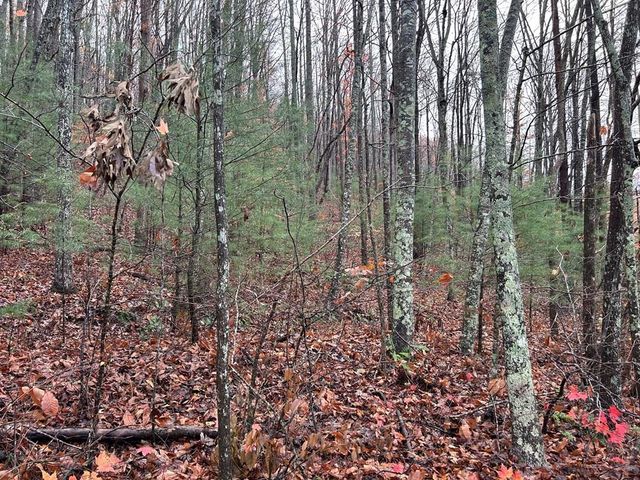 Lt19-21 Earl Shelton Road, Blairsville, GA 30512