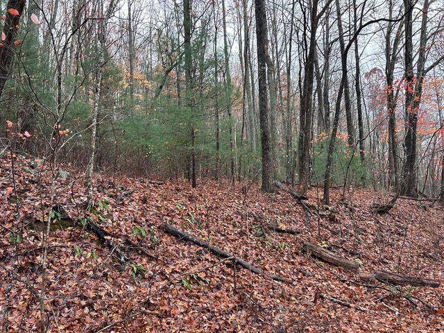 Lt19-21 Earl Shelton Road, Blairsville, GA 30512