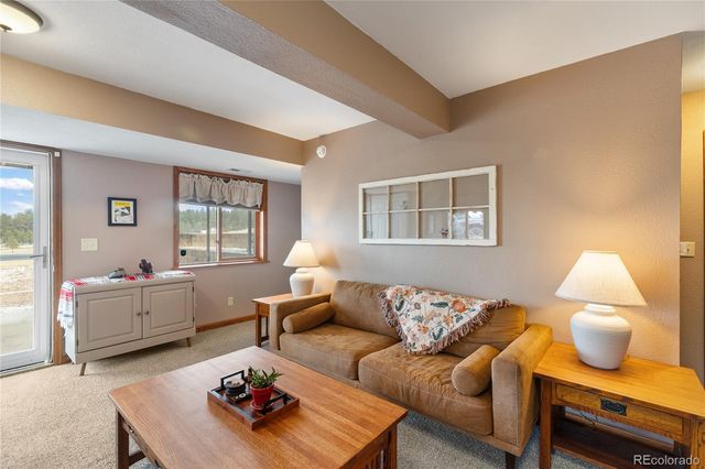 901 Wilson Drive, Florissant, CO 80816