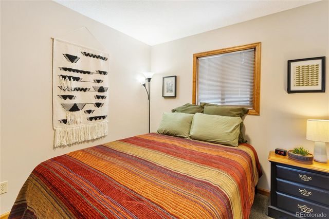 901 Wilson Drive, Florissant, CO 80816