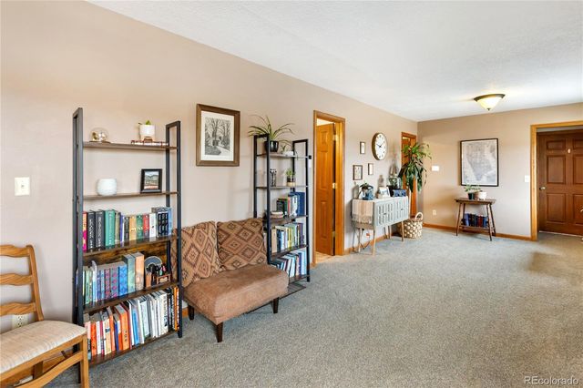 901 Wilson Drive, Florissant, CO 80816