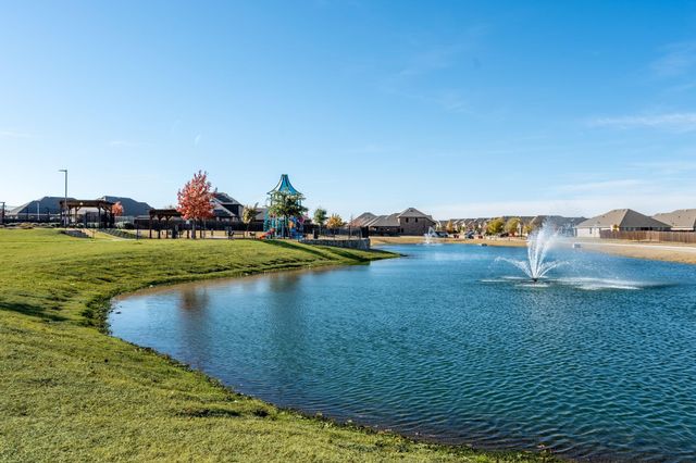 1229 Cedar Cove Place, Fate, TX 75189