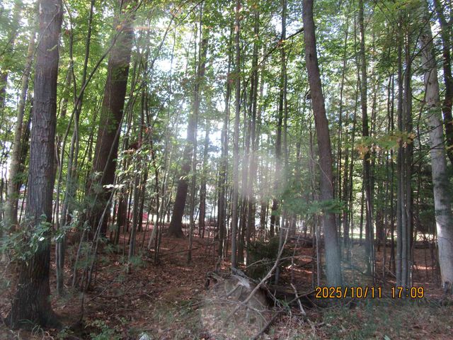 00 E Franklin Street, East Tawas, MI 48730