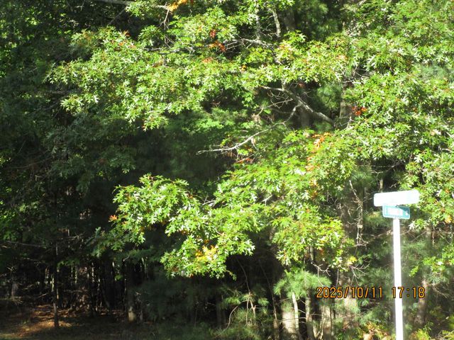 00 E Franklin Street, East Tawas, MI 48730