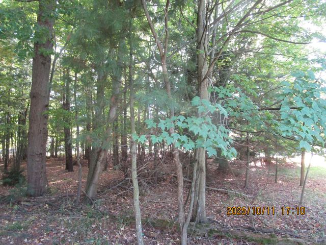 00 E Franklin Street, East Tawas, MI 48730