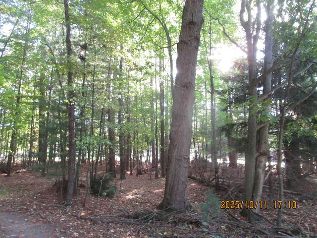 00 E Franklin Street, East Tawas, MI 48730