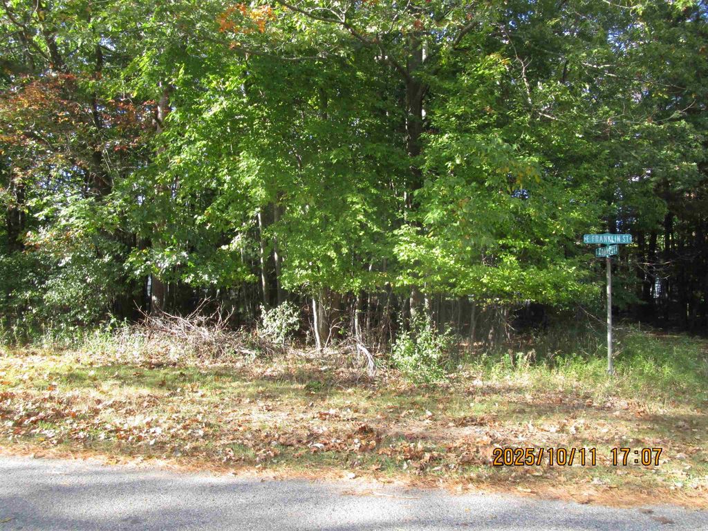 00 E Franklin Street, East Tawas, MI 48730