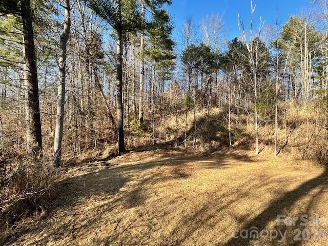 45 Marshbanks Ridge, Weaverville, NC 28787