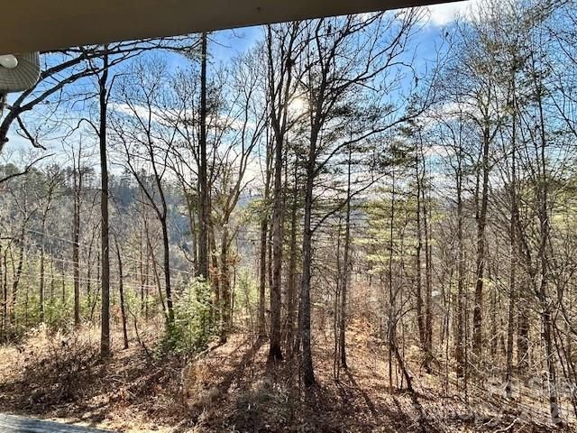 45 Marshbanks Ridge, Weaverville, NC 28787