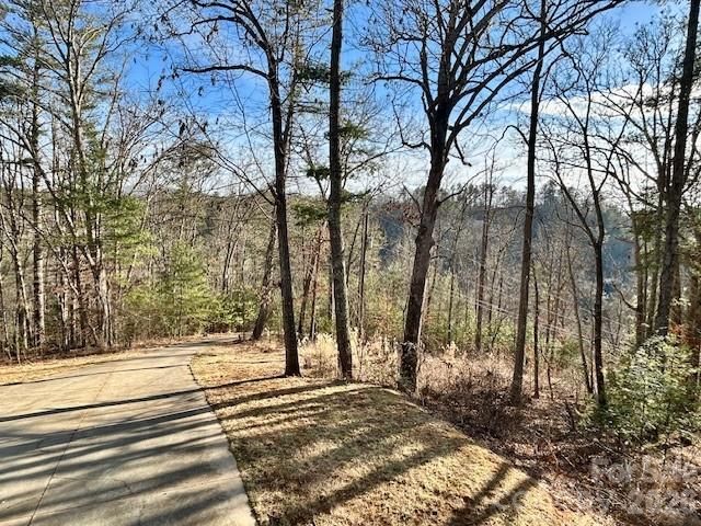 45 Marshbanks Ridge, Weaverville, NC 28787