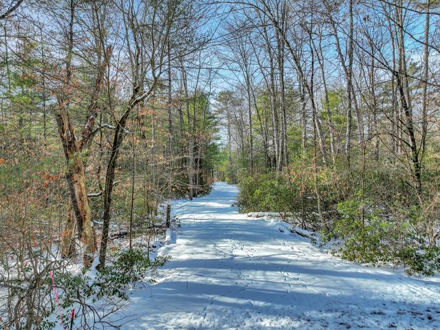 1253 Plank Road, Forestburgh, NY 12777