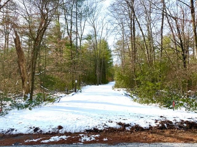 1253 Plank Road, Forestburgh, NY 12777