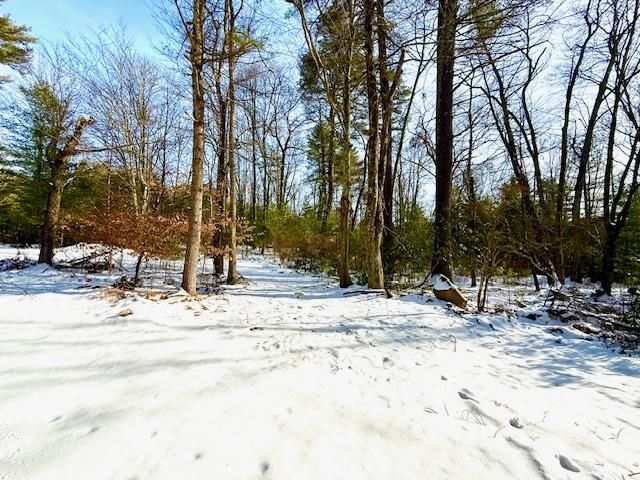 1253 Plank Road, Forestburgh, NY 12777