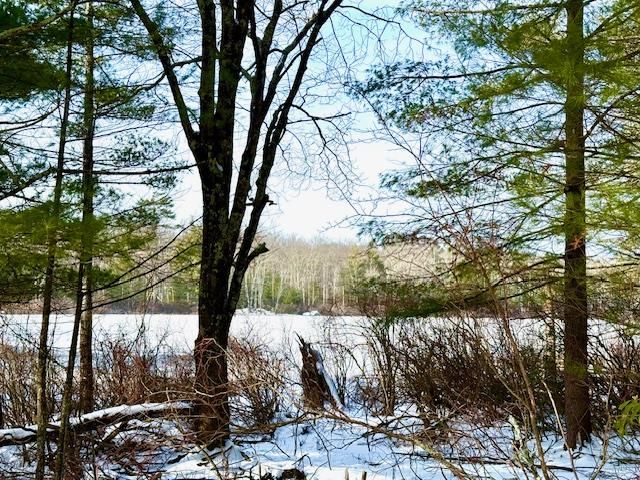 1253 Plank Road, Forestburgh, NY 12777
