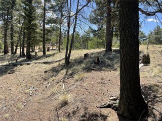 971 Spring Valley Ln, Florissant, CO 80816