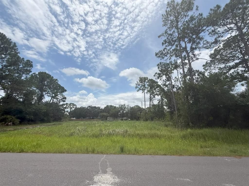 1106 SIBONEYS STREET NW, Palm Bay, FL 32907