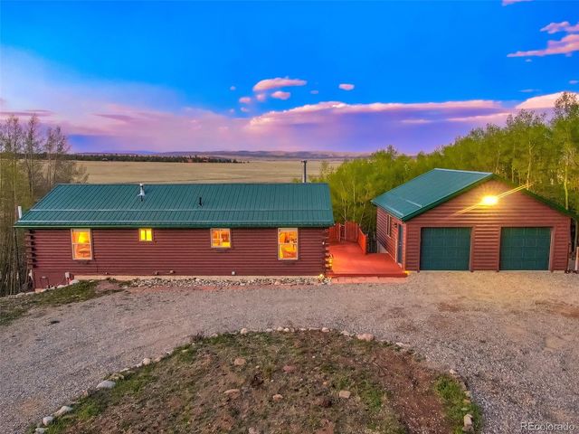 169 Fen Court, Fairplay, CO 80440