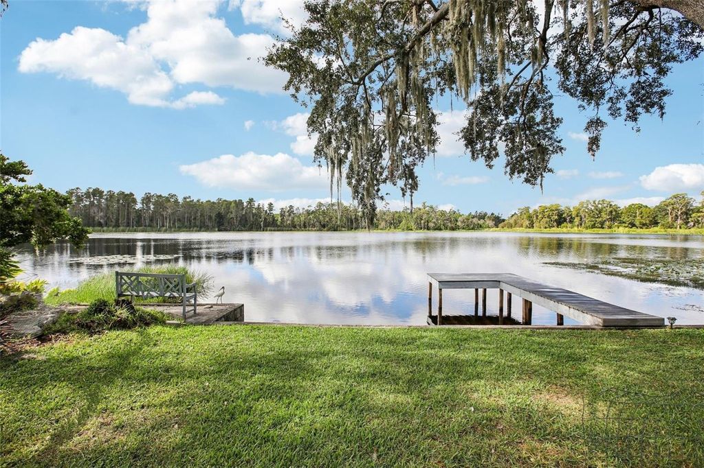 19254 BLOUNT ROAD, Lutz, FL 33558