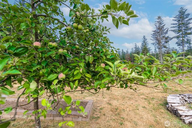 212 156th Lane SE, Tenino, WA 98589