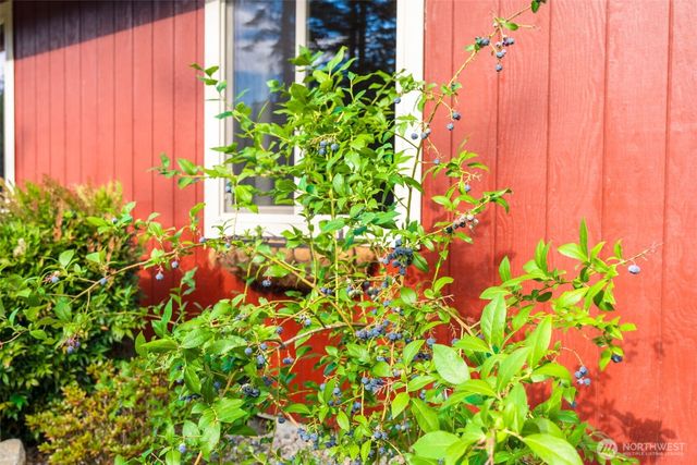 212 156th Lane SE, Tenino, WA 98589