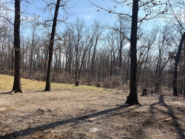 1790 County Rd A-435, Ava, MO 65608