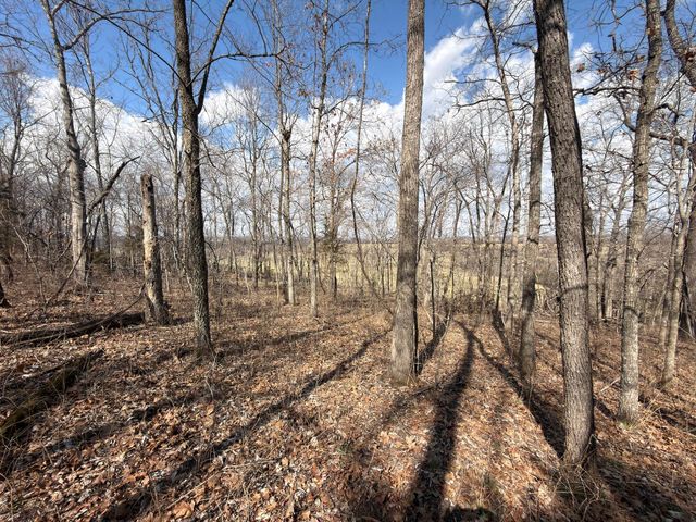 1790 County Rd A-435, Ava, MO 65608