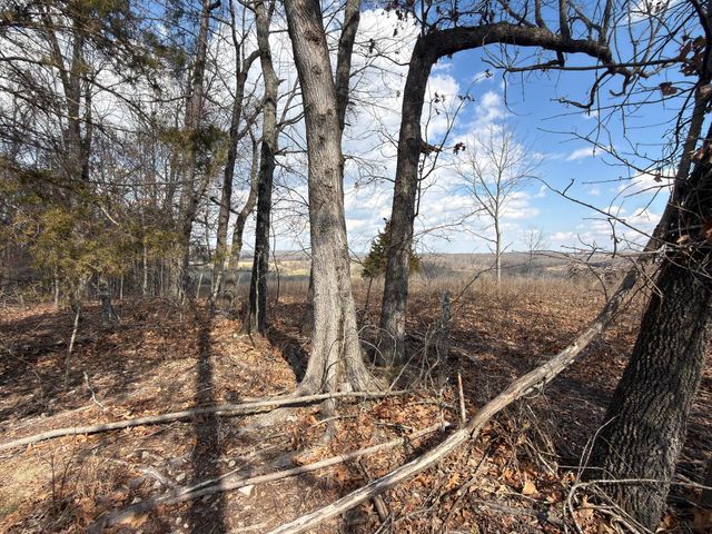 1790 County Rd A-435, Ava, MO 65608