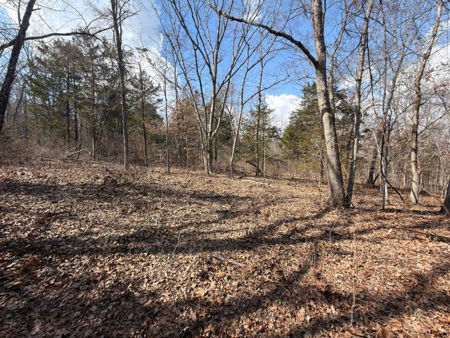 1790 County Rd A-435, Ava, MO 65608