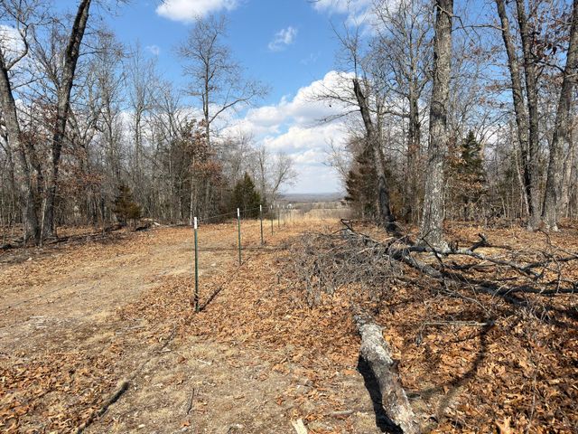 1790 County Rd A-435, Ava, MO 65608