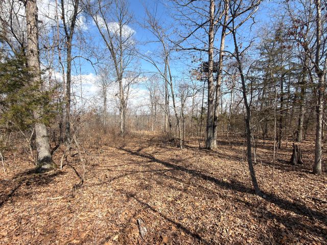 1790 County Rd A-435, Ava, MO 65608