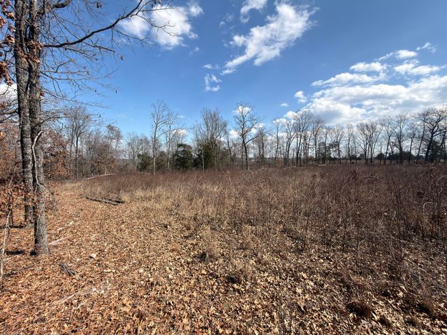 1790 County Rd A-435, Ava, MO 65608