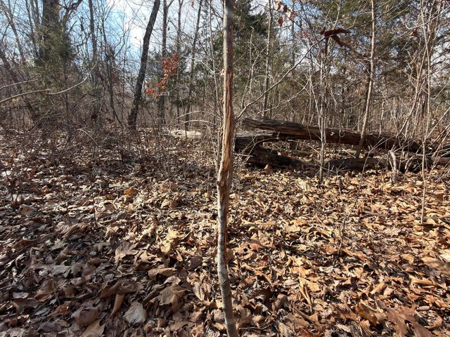 1790 County Rd A-435, Ava, MO 65608