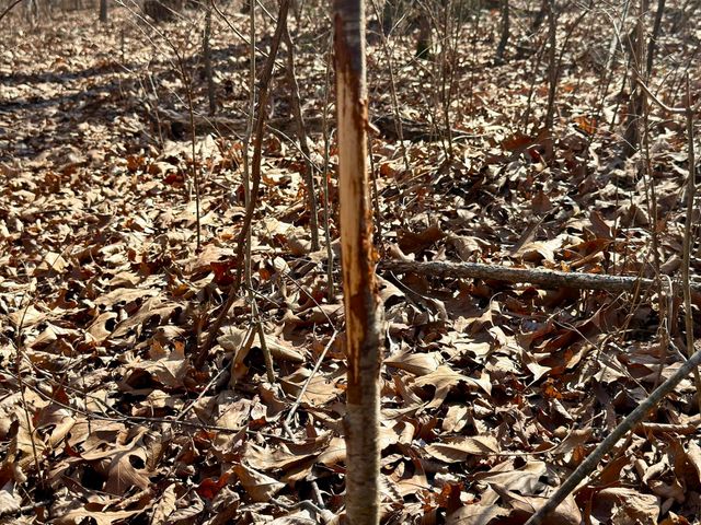 1790 County Rd A-435, Ava, MO 65608